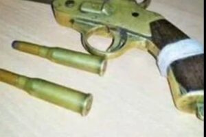 काशीपुर, 05 जून, 2025 (समय बोल रहा ) - काशीपुर पुलिस ने अवैध हथियारों के खिलाफ अपनी मुहिम जारी रखते हुए एक और सफलता हासिल की है। बुधवार देर रात गश्त पर निकली कोतवाली पुलिस टीम ने एक संदिग्ध युवक को 315 बोर के तमंचे के साथ गिरफ्तार किया है। आरोपी की पहचान कुलवंत सिंह उर्फ काली के रूप में हुई है, जिसने पुलिस पूछताछ में तमंचा रखने का अजीबोगरीब बहाना बताया कि वह जंगल में लकड़ियां काटने जाता है, इसलिए उसने अपनी सुरक्षा के लिए तमंचा रखा था। पुलिस ने आरोपी के खिलाफ आर्म्स एक्ट के तहत गंभीर धाराओं में मुकदमा दर्ज कर लिया है, जो अवैध हथियार रखने पर सख्त कानूनी कार्रवाई का प्रावधान करता है। देर रात की गश्त और संदिग्ध की धरपकड़: पुलिया के पास हुई गिरफ्तारी यह घटना बुधवार की देर रात की है, जब हल्का नंबर एक चौकी में तैनात उप-निरीक्षक (एसआई) देवेंद्र सिंह सामंत अपनी टीम के साथ क्षेत्र में नियमित गश्त पर थे। पुलिस टीम का उद्देश्य क्षेत्र में शांति व्यवस्था बनाए रखना और किसी भी संदिग्ध गतिविधि पर नज़र रखना था। अपनी गश्त के दौरान, जब टीम मालधन नंबर 7 से पहले पड़ने वाली पुलिया के पास पहुंची, तो उनकी नज़र एक संदिग्ध युवक पर पड़ी। युवक की हरकतें सामान्य नहीं लग रही थीं और पुलिस को उस पर शक हुआ। तत्काल कार्रवाई करते हुए, एसआई देवेंद्र सिंह सामंत की टीम ने उस युवक को घेर लिया और उसे दबोच लिया। पुलिस ने युवक से पूछताछ की और उसकी तलाशी ली। तलाशी के दौरान, पुलिस के हाथ एक महत्वपूर्ण सफलता लगी। युवक के कब्जे से एक .315 बोर का तमंचा बरामद हुआ। यह एक खतरनाक हथियार है, जिसका इस्तेमाल गंभीर अपराधों में हो सकता है। तमंचा मिलते ही पुलिस ने युवक को हिरासत में ले लिया और आगे की पूछताछ शुरू की। आरोपी की पहचान और चौंकाने वाला बहाना: "लकड़ी काटने के लिए रखा था तमंचा" पुलिस पूछताछ के दौरान गिरफ्तार आरोपी ने अपनी पहचान 50 वर्षीय कुलवंत सिंह उर्फ काली पुत्र चरण सिंह के रूप में बताई, जो दुर्गापुर, थाना कुंडा का निवासी है। कुंडा थाना क्षेत्र भी उत्तराखंड से सटा हुआ है, जो अक्सर अपराधियों के लिए एक राज्य से दूसरे राज्य में भागने का रास्ता बन जाता है। जब पुलिस ने कुलवंत सिंह उर्फ काली से तमंचा रखने का कारण पूछा, तो उसने एक चौंकाने वाला और अविश्वसनीय बहाना बताया। उसने कहा कि वह जंगल में लकड़ियां काटने जाता है, और अपनी सुरक्षा के लिए उसने यह तमंचा रखा था। यह दलील आमतौर पर अवैध हथियार रखने वाले अपराधी देते हैं ताकि वे अपने कृत्य को वैध ठहरा सकें। हालांकि, कानून के तहत, हथियार रखने के लिए लाइसेंस आवश्यक होता है, और बिना लाइसेंस के तमंचा रखना एक गंभीर अपराध है। पुलिस इस बहाने को स्वीकार करने वाली नहीं थी और उन्होंने स्पष्ट कर दिया कि इस मामले में कानून के अनुसार ही कार्रवाई की जाएगी। पुलिस अब इस बात की भी जांच करेगी कि क्या कुलवंत सिंह का कोई आपराधिक इतिहास है या उसका संबंध किसी आपराधिक गिरोह से है। आर्म्स एक्ट के तहत मुकदमा दर्ज: कानून का शिकंजा पुलिस ने कुलवंत सिंह उर्फ काली के खिलाफ आर्म्स एक्ट (Arms Act) की संबंधित धाराओं के तहत मुकदमा दर्ज कर लिया है। आर्म्स एक्ट भारत में अवैध हथियार रखने, बनाने या बेचने पर रोक लगाता है और इन अपराधों के लिए सख्त दंड का प्रावधान करता है। .315 बोर का तमंचा जैसे हथियार रखना, बिना लाइसेंस के, एक गैर-जमानती अपराध है और इसमें कारावास की सजा हो सकती है। मुकदमा दर्ज होने के बाद, आरोपी को न्यायालय में पेश किया जाएगा, जहां से उसे न्यायिक हिरासत में भेजा जा सकता है। पुलिस इस मामले की गहनता से जांच करेगी ताकि यह पता लगाया जा सके कि कुलवंत सिंह यह तमंचा कहां से लाया था और क्या वह किसी बड़े हथियार तस्करी रैकेट का हिस्सा है। इस गिरफ्तारी से अवैध हथियारों के नेटवर्क पर लगाम लगाने में मदद मिल सकती है और शहर में अपराधों को रोकने में भी सहायता मिलेगी। पुलिस टीम की मुस्तैदी: शहर की सुरक्षा का जिम्मा इस सफल कार्रवाई को अंजाम देने वाली पुलिस टीम में एसआई देवेंद्र सिंह सामंत के साथ अन्य पुलिसकर्मी भी शामिल थे। उनकी सक्रिय गश्त और संदिग्धों पर नज़र रखने की क्षमता ने ही इस गिरफ्तारी को संभव बनाया। यह पुलिस टीम की मुस्तैदी और उनकी कर्तव्यनिष्ठा को दर्शाता है, जो शहर में अवैध गतिविधियों को रोकने और शांति व्यवस्था बनाए रखने के लिए लगातार प्रयास कर रहे हैं। पुलिस का यह अभियान अवैध हथियारों के खिलाफ एक महत्वपूर्ण कदम है, जो अपराधों को जन्म देते हैं और समाज में भय का माहौल बनाते हैं। ऐसे अभियानों से अपराधियों में पुलिस का खौफ बढ़ता है और आम जनता में सुरक्षा का भाव पैदा होता है। पुलिस ने साफ कर दिया है कि वह ऐसे अपराधि