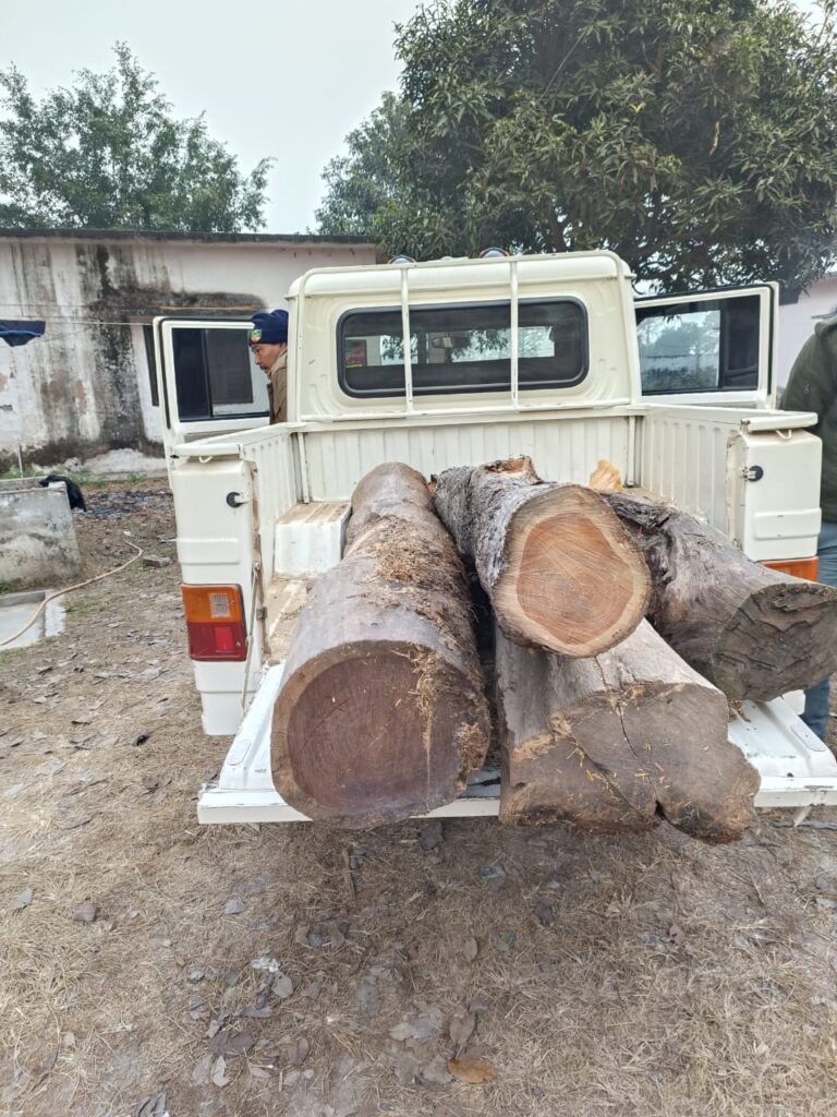 WhatsApp Image 2026 01 01 at 20.00.55 1