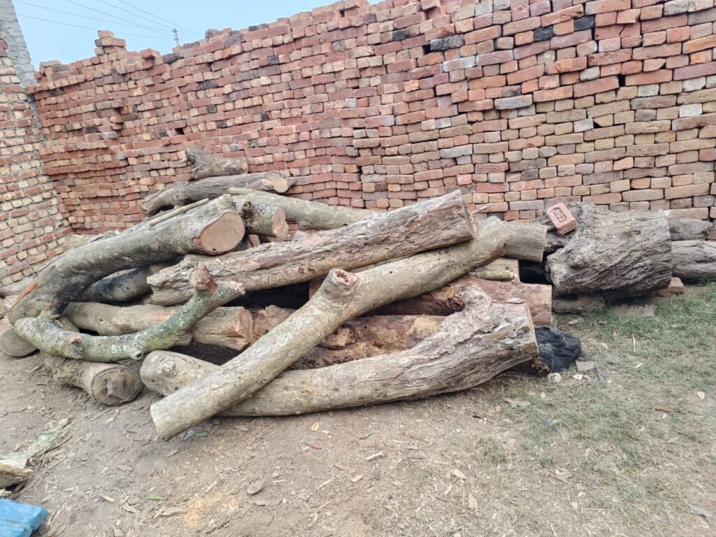 WhatsApp Image 2026 01 01 at 20.00.56 1