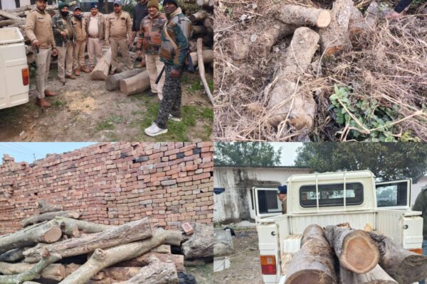 जसपुर, 01 जनवरी 2026 (समय बोल रहा) – नए साल के पहले ही दिन, जहाँ दुनिया उत्सव मना रही थी, वहीं वन सुरक्षा विभाग ने लकड़ी तस्करों के खिलाफ एक बड़ा अभियान चलाकर उनके मंसूबों पर पानी फेर दिया। तराई पश्चिम वन प्रभाग रामनगर के अंतर्गत पतरामपुर रेंज की टीम ने बीट शिवराजपुर के केसरी गणेशपुर में एक घर पर छापा मारकर भारी मात्रा में अवैध लकड़ी बरामद की है। दबिश के दौरान घर में छिपा मिला अवैध खजाना वन विभाग की SOG और सुरक्षा टीम को गुप्त सूचना मिली थी कि केसरी गणेशपुर में अवैध लकड़ी का बड़ा जखीरा छिपाया गया है। सूचना मिलते ही टीम ने कुलदीप पुत्र बाबूराम के घर की घेराबंदी की और तलाशी अभियान शुरू किया। तलाशी के दौरान घर के परिसर से साल, सागौन और फागुन जैसी प्रतिबंधित प्रजातियों की लकड़ी के लगभग 8 से 10 क्विंटल गिल्टे बरामद किए गए। वन विभाग की 'टाइगर' टीम ने संभाला मोर्चा इस बड़ी कार्रवाई का नेतृत्व विपिन पटेलिया ने किया। टीम में शामिल वन सुरक्षा कर्मी अजय कुमार, मनमोहन, रघुवीर सिंह राजवार, गंगा सिंह और प्रेम चालक ने मुस्तैदी दिखाते हुए पूरी लकड़ी को जब्त किया। मौके पर बीट में कार्यरत वन अधिकारी स्वतंत्र कुमार भी मौजूद रहे, जिन्होंने बरामदगी की कागजी औपचारिकताएं पूरी कीं। कल होगी चालान और कानूनी कार्रवाई वन विभाग के अधिकारियों के अनुसार, बरामद लकड़ी को फिलहाल सुरक्षित स्थान पर रखवा दिया गया है। चूंकि आज केवल जब्ती की कार्रवाई की गई है, इसलिए आरोपी के खिलाफ वन अधिनियम की धाराओं के तहत चालान की प्रक्रिया कल यानी शुक्रवार को अमल में लाई जाएगी। विभाग यह भी जांच कर रहा है कि इस तस्करी के पीछे कोई बड़ा सिंडिकेट तो काम नहीं कर रहा है। तस्करों के खिलाफ जीरो टॉलरेंस वन सुरक्षा विभाग ने स्पष्ट कर दिया है कि वनों की कटान और अवैध तस्करी को किसी भी कीमत पर बर्दाश्त नहीं किया जाएगा। साल के पहले ही दिन हुई इस बड़ी कार्रवाई ने उन तस्करों को सख्त संदेश दिया है जो त्योहारों और छुट्टियों का फायदा उठाकर जंगलों को नुकसान पहुँचाने की फिराक में रहते हैं। इस कार्रवाई के बाद से ही क्षेत्र के अन्य अवैध कारोबारियों में दहशत का माहौल है।