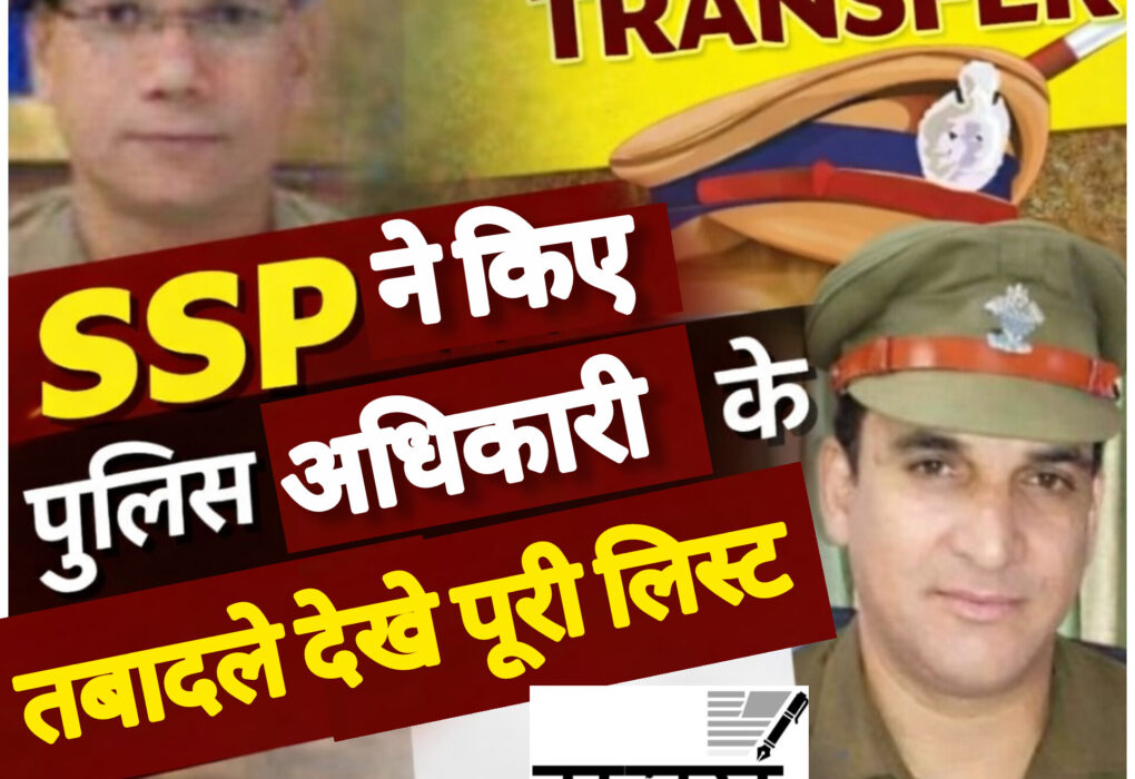 InShot 20260208 203956709