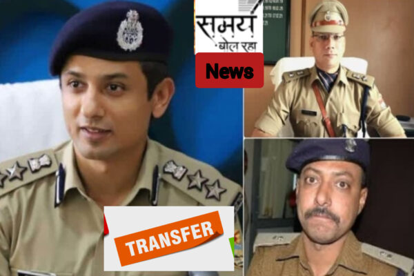 InShot 20260213 214429646