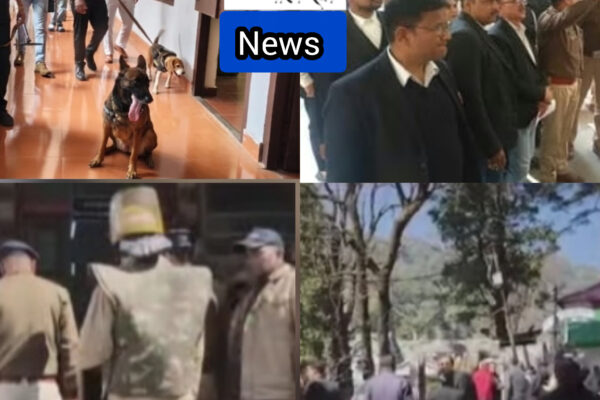 InShot 20260216 144438269